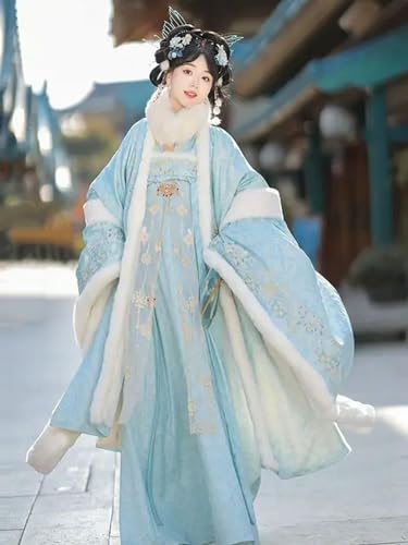 INSTR Chinesische traditionelle Stickerei Hanfu für Damen, Feen-Cosplay-Kostüm, warm, dicker, lila, blau, gelb, Hanfu von INSTR