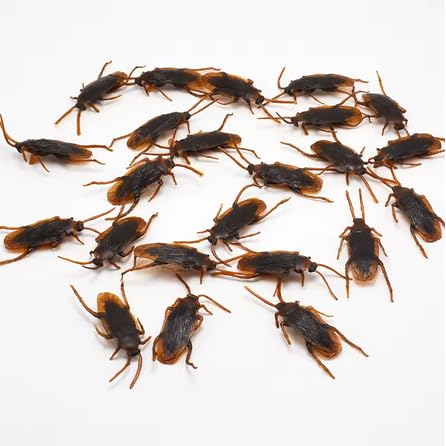 IONOMAT Realistische Schaben, Kunststoff, 30 Stück, 7 x 2 cm, Halloween-Dekorationszubehör, Streiche und Fänger von IONOMAT