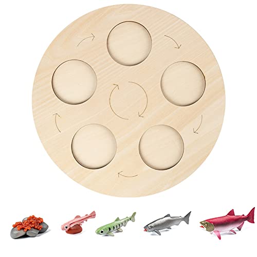 ISAKEN Montessori Holzspielzeug Lebenszyklus Brett, Hölzernes Lebenszyklus Brett Kinderspielzeug Naturspiel Geschenke Puzzle Spielzeug Geschenke Vorschulinteraktionsspiel für Kinder 3 4 5 6 Jahre ISAKEN Montessori Holzspielzeug Lebenszyklus Brett, Hölzernes Lebenszyklus Brett Kinderspielzeug Naturspiel Geschenke Puzzle Spielzeug Geschenke Vorschulinteraktionsspiel für Kinder 3 4 5 6 Jahre von ISAKEN