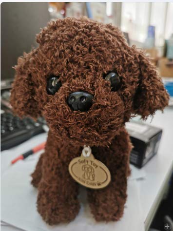 ISAKEN Teddy Hund Kuscheltier Hund Plüschtier Plüsch Stofftier Hund Hunde Simulation Teddy Pudel Dog Puppenwelpe Hundepuppe Spielzeug Geschenk für Kinder Mädchen Jungen ISAKEN Teddy Hund Kuscheltier Hund Plüschtier Plüsch Stofftier Hund Hunde Simulation Teddy Pudel Dog Puppenwelpe Hundepuppe Spielzeug Geschenk für Kinder Mädchen Jungen von ISAKEN
