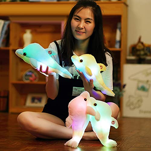 Kinder Delfin Plüschtiere Kissen, LED Leuchtend Stofftier für Kinderzimmer Weiches Plüschtier Kuscheltier PlüschKissen mit LED Licht, Tierspielzeug Plüsch Spielzeug Geschenk für Kinde,Freundin,30CM von ISAKEN