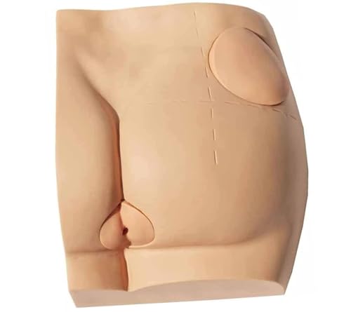 1-teiliger Trainingssimulator for Hüftinjektionen for Krankenschwestern – realistisches Übungsmodell for Injektionen in die Gesäßmuskulatur von ITITI