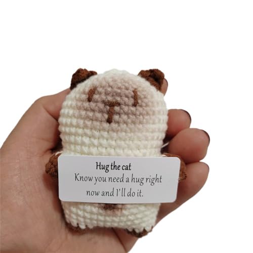 IUYQY Emotional Support Positive Pocket Crochet Cute Knitted Positive with Ornament Posi Mini Greeting Hug Card von IUYQY