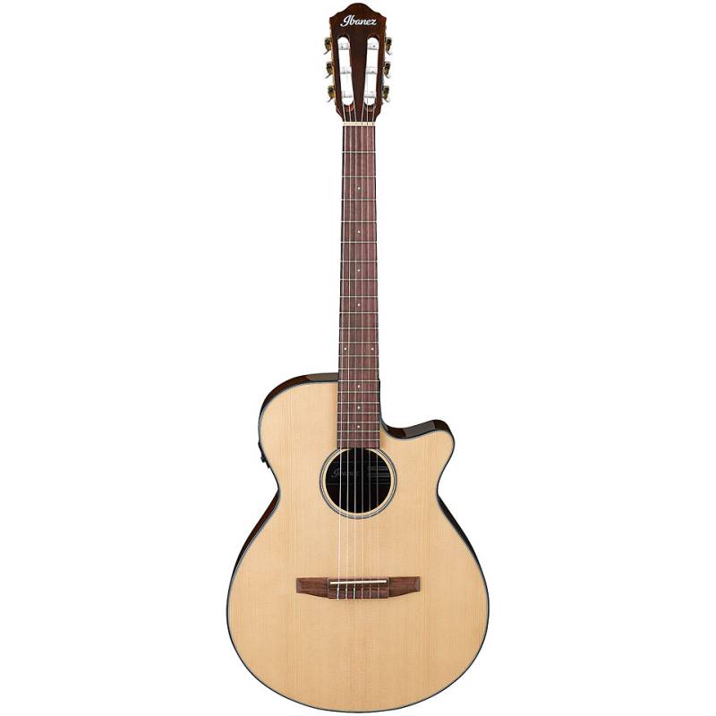 Ibanez AEG50N NT Konzertgitarre von Ibanez