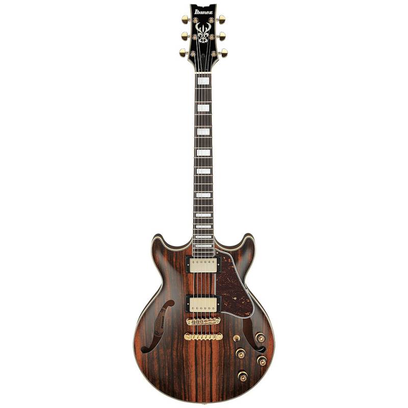 Ibanez Artcore AM93ME-NT E-Gitarre von Ibanez