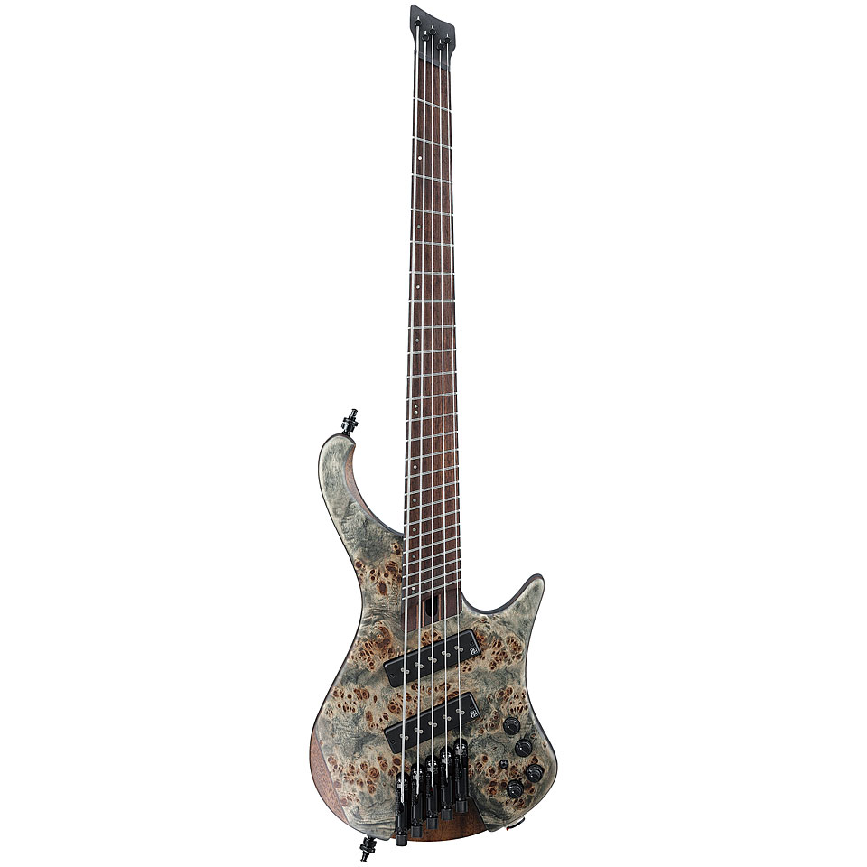 Ibanez Bass Workshop EHB1505MS-BIF E-Bass von Ibanez