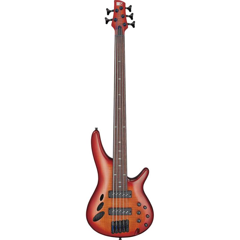 Ibanez Bass Workshop SRD905F-BTL E-Bass von Ibanez