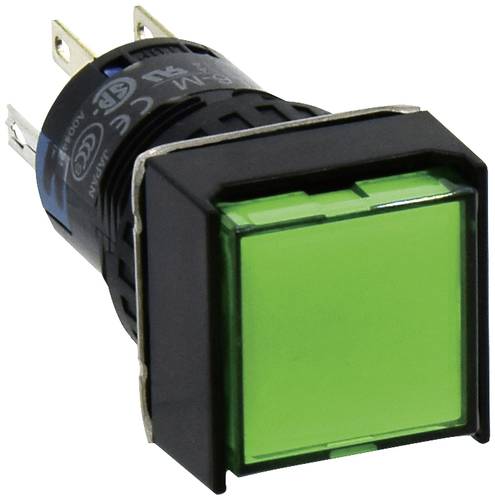 Idec AL6Q-A24P-G AL6Q-A24P-G Leuchtdrucktaster 250V 1A 2 x Ein/Ein rastend Grün IP65 1St. von Idec