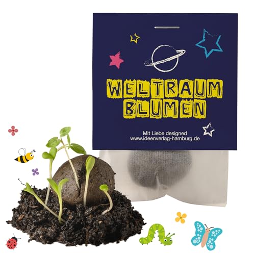 10x "Weltraum" Samenbomben Kindergeburtstag Weltraum Mitgebsel Weltraumgeburtstag Geschenke Kindergeburtstag Mitgebsel Kindergeburtstag Weltraum Samenbomben Mitgebsel Saatbomben Kinder Kleinigkeiten von Ideenverlag HAMBURG