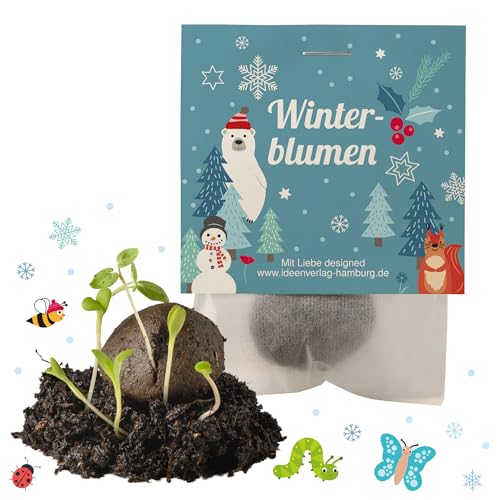 10x "Winterblumen" Winter Samenbomben Kindergeburtstag / treiben aus bei Kälte! / Wintergeburtstag Geschenke Mitgebsel Kindergeburtstag Kleinigkeit von Ideenverlag HAMBURG