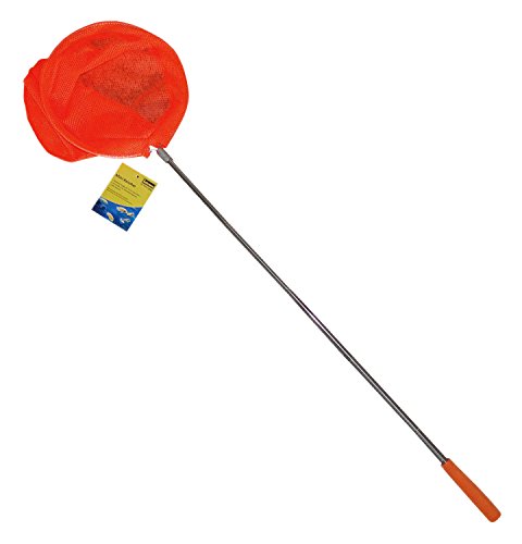 Idena 40077 - Mini Kescher aus Metall mit ausziehbarer Teleskopstange, von ca. 37 cm bis ca. 72 cm, für Kinder oder zum Angeln, orange von Idena