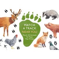 Match a Track Near You Match a Track Near You von Igloo Books ltd.