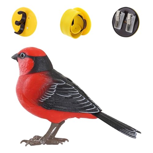 Imtrub Bird Spielzeug Für Kinder | Elektronisches Vogelspielzeug,Realistische Süße Tierfigur Zur Interaktion Mit Sprachfunktion Als Tischdekoration Und Haustierbeschäftigung Imtrub Bird Spielzeug Für Kinder | Elektronisches Vogelspielzeug,Realistische Süße Tierfigur Zur Interaktion Mit Sprachfunktion Als Tischdekoration Und Haustierbeschäftigung von Imtrub