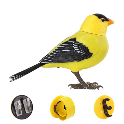 Imtrub Vogel Spielzeug | Elektrischer Singvogel,Realistische Süße Tierfigur Zur Interaktion Mit Sprachfunktion Als Tischdekoration Und Haustierbeschäftigung Imtrub Vogel Spielzeug | Elektrischer Singvogel,Realistische Süße Tierfigur Zur Interaktion Mit Sprachfunktion Als Tischdekoration Und Haustierbeschäftigung von Imtrub