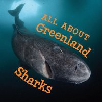 All about Greenland Sharks von Ingram Publishers Services