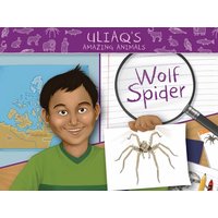 Uliaq's Amazing Animals: Wolf Spider von Ingram Publishers Services
