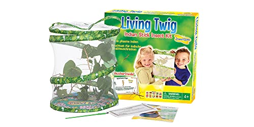 Insect Lore 48125 - Stabheuschrecken Living Twig Indian Stick von Insect Lore