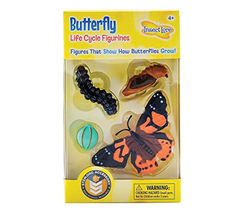 Insect Lore BFLYLIFE 48122 Butterfly Life Cycle Figuren, Lebenszyklus 4 Stufen: Ei, Raupe, Puppe und Schmetterling, bunt Insect Lore BFLYLIFE 48122 Butterfly Life Cycle Figuren, Lebenszyklus 4 Stufen: Ei, Raupe, Puppe und Schmetterling, bunt von Insect Lore