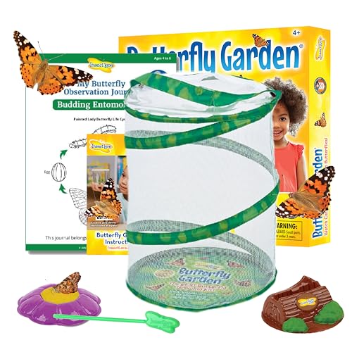 Insect Lore Lernspiele - Kit für die Zucht von Schmetterlingen von Insect Lore