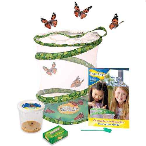 Insect Lore - Schmetterlingsgarten mit 3-5 Raupen Insect Lore - Schmetterlingsgarten mit 3-5 Raupen von Insect Lore