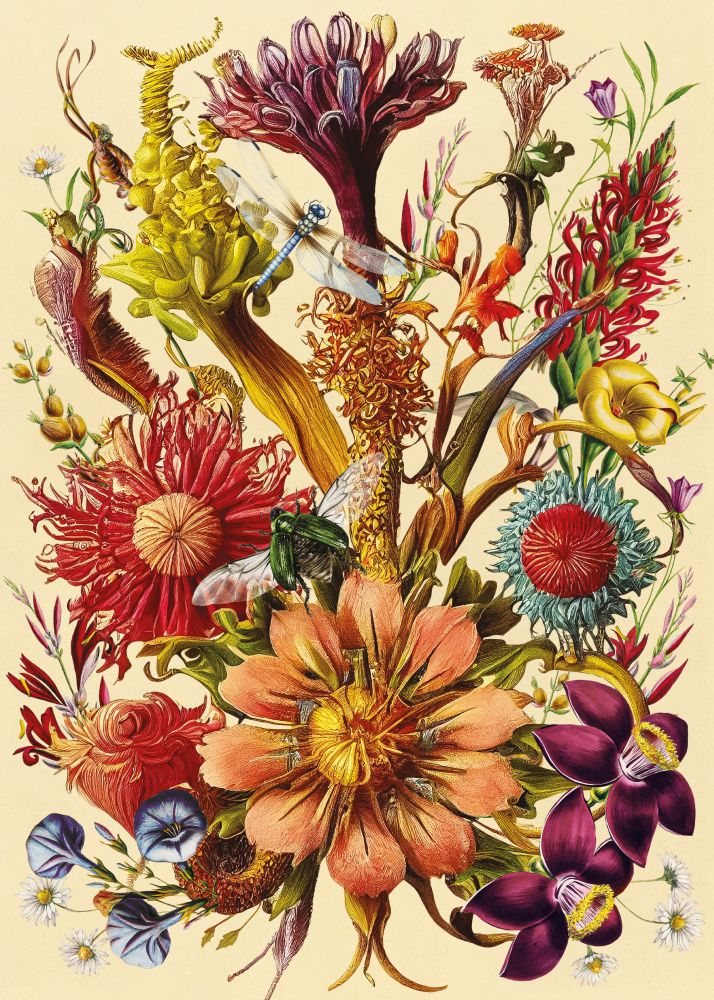 Interdruk Blumen aus fernen Ländern 1000 Teile Puzzle Interdruk-370044 von Interdruk