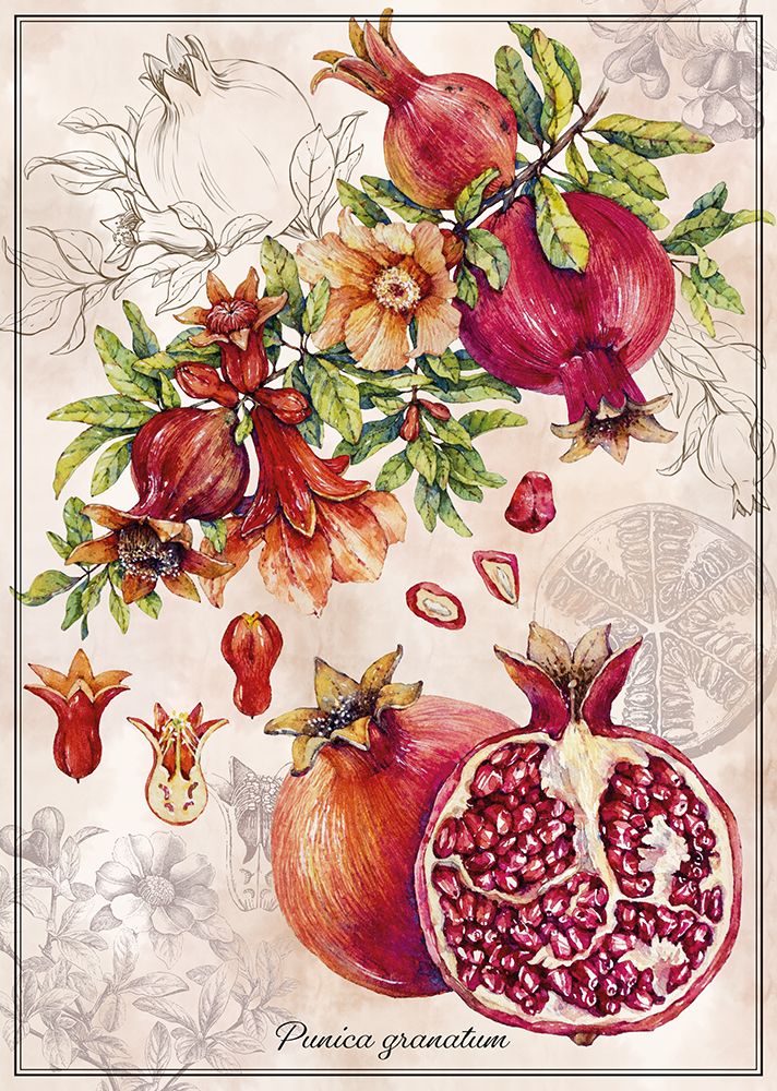 Interdruk Botanic Collection - Pomegranate 1000 Teile Puzzle Interdruk-385390 von Interdruk