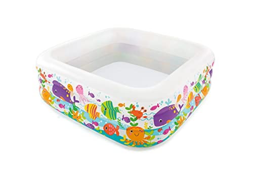 Intex See Aquarium Pool - Kinder Aufstellpool - Planschbecken - 159 x 159 x 50 cm - Für 3+ Jahre von Intex