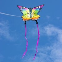 Ecoline 102223 - Ecoline: Butterfly Kite Rainbow, 95x120cm, Drachen/Kinderdrachen Ecoline 102223 - Ecoline: Butterfly Kite Rainbow, 95x120cm, Drachen/Kinderdrachen von Invento