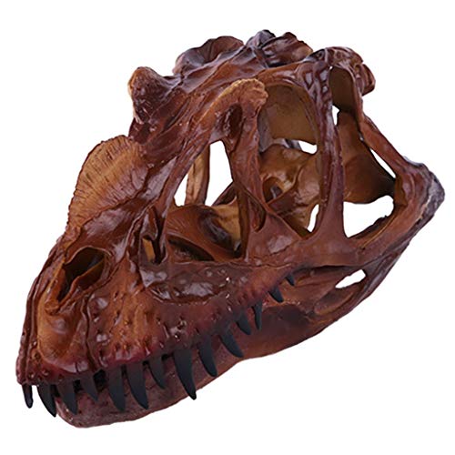 Inzopo Dinosaurier Ceratosaurus Schädel Harz Fossil Modell Sammlerstücke Home Bar Dekor Inzopo Dinosaurier Ceratosaurus Schädel Harz Fossil Modell Sammlerstücke Home Bar Dekor von Inzopo