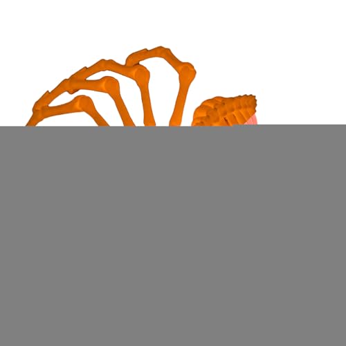 Iouyjiu Gelenkspinne, Spider Fidget-Spielzeug, falsche Spinnen-Figuren mit Gelenken, 3D-Gelenkspinne für Erwachsene, Fidget, Dekoration für Halloween Iouyjiu Gelenkspinne, Spider Fidget-Spielzeug, falsche Spinnen-Figuren mit Gelenken, 3D-Gelenkspinne für Erwachsene, Fidget, Dekoration für Halloween von Iouyjiu
