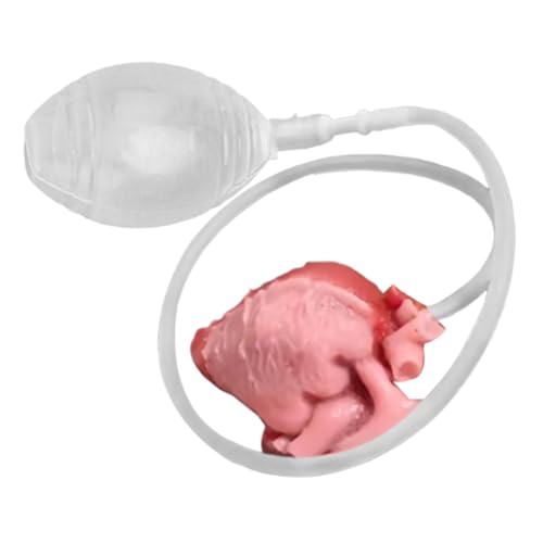 Iouyjiu Stress Toys für Erwachsene, lustiges Beating Heart Fidget, langsames Rückwärts- und Sensorenreliefs, kompaktes Handheld-Design, unnachahmliche Schreibtisch-Geschenkidee, für Büro, Study Iouyjiu Stress Toys für Erwachsene, lustiges Beating Heart Fidget, langsames Rückwärts- und Sensorenreliefs, kompaktes Handheld-Design, unnachahmliche Schreibtisch-Geschenkidee, für Büro, Study von Iouyjiu