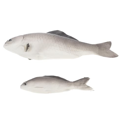 Ipetboom 2 Stücke Künstliche Fische Aquarium Dekoration Realistische Fischfiguren aus PU für Aquarien Dekorative Ornamente für Heimdekoration und Lehrmodelle von Ipetboom