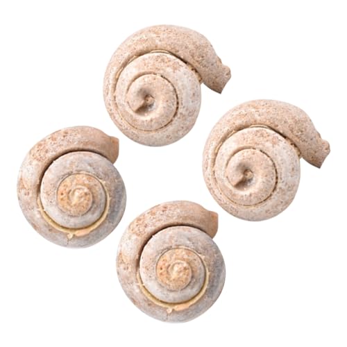 Ipetboom 4 Stück Teiliges Schneckenfossil Kreatives Lehrmaterial für Desktop Dekoration für Wissenschaftsunterricht Tischschmuck für Paläontologie Enthusiasten von Ipetboom