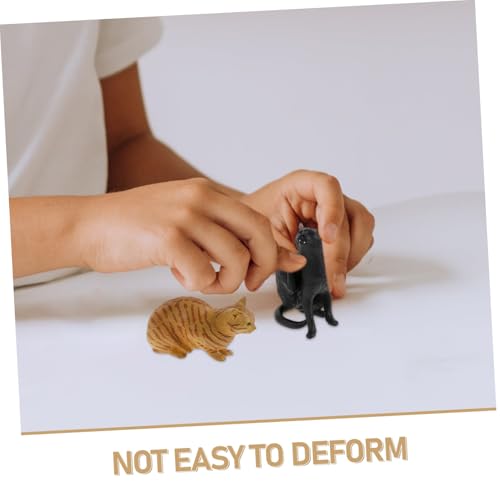 Ipetboom 5 Stück Realistische Katzenfiguren aus PVC Detailgetreue für Interaktives Lernen Handkoordination Fördernd als Deko und Katzenspielzeug Ipetboom 5 Stück Realistische Katzenfiguren aus PVC Detailgetreue für Interaktives Lernen Handkoordination Fördernd als Deko und Katzenspielzeug von Ipetboom