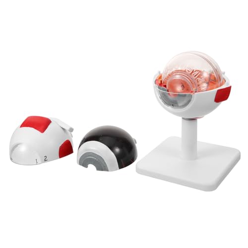 Ipetboom Augenmodell Vergrößert Medizinisches Lehrmodell für Schüler Kliniken und Schulen Detaillierte Augenstruktur Kompakt und Tragbar für Anschauliche Ausbildung von Ipetboom