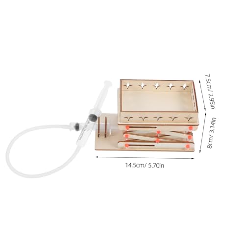 Ipetboom DIY Hydraulische Hebebühne Bausatz Holz Verstellbare Hebevorrichtung Lernspielzeug für Stem Wissenschaftliches Experiment zur Kreativität und Feinmotorik für Schule und Zuhause Ipetboom DIY Hydraulische Hebebühne Bausatz Holz Verstellbare Hebevorrichtung Lernspielzeug für Stem Wissenschaftliches Experiment zur Kreativität und Feinmotorik für Schule und Zuhause von Ipetboom