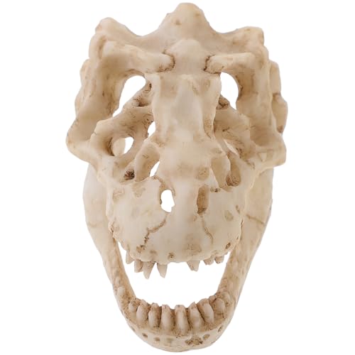 Ipetboom Dinosaurier Schädelmodell aus Resin Detailgetreues Dinosaurier Skelett für Deko Terrarien und Lernzwecke für Kleine Räume Wie Schreibtische und von Ipetboom