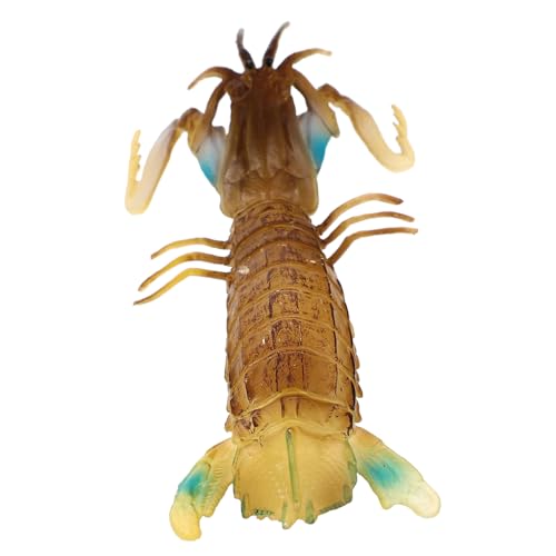 Ipetboom Interessantes Langlebiges Widerstandsfähiges Sensorisches Tiermodell Niedliche Mantisshrimp Figur Perfektes für Jungen und Mädchen Dekoration für Kinderzimmer und Büro von Ipetboom