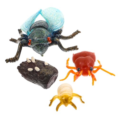 Ipetboom Realistisches Cicada Wachstumszyklus Modell Langlebig Pädagogisches Lernspielzeug für Naturgetreue Insekten Simulation Kompakte Cicada Anzeige für Entdeckung und Bildung von Ipetboom