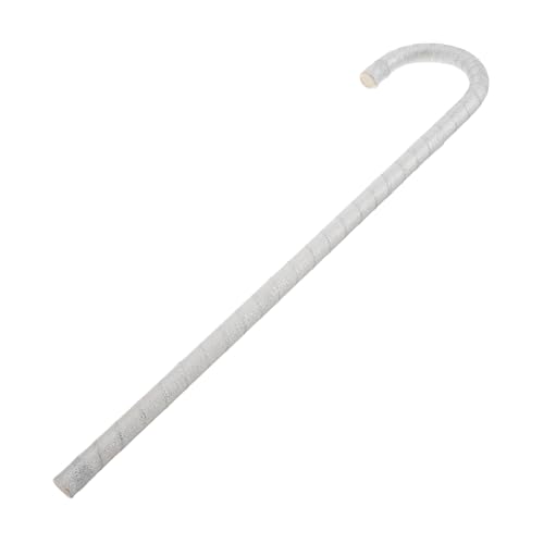 Ipetboom Tanzstock Silber aus Carbonfaser Robuste Jazz Dance Stange für Tanztraining und Cosplay Vielseitiger Gehstock für Jazz Bauchtanz Halloween Kostüm Zubehör von Ipetboom