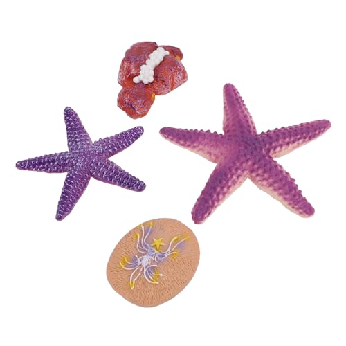 Itonash Seestern-Dekor, Pädagogisches Meeresleben-Modellspielzeug mit 4 Simulierten Seesternfiguren, Mädchen, Kinder ab 3 Jahren, für Studienbüro-Dekoration von Itonash