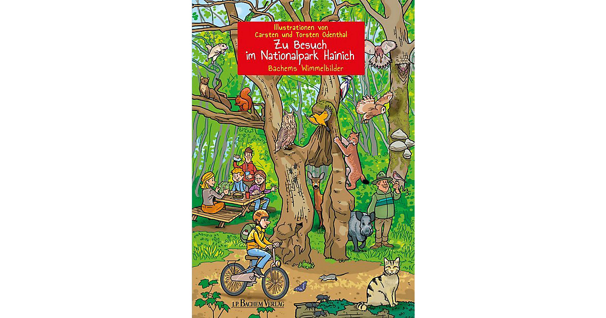 Buch - Zu Besuch im Nationalpark Hainich von J. P. Bachem Verlag