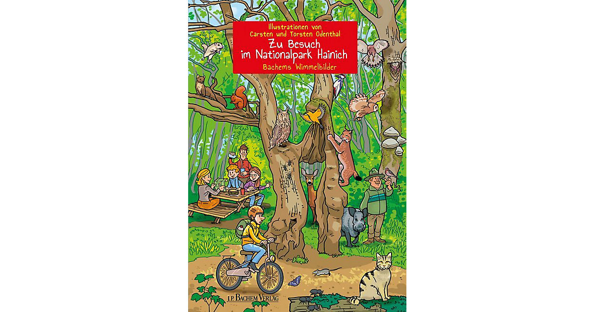 Buch - Zu Besuch im Nationalpark Hainich Buch - Zu Besuch im Nationalpark Hainich von J. P. Bachem Verlag