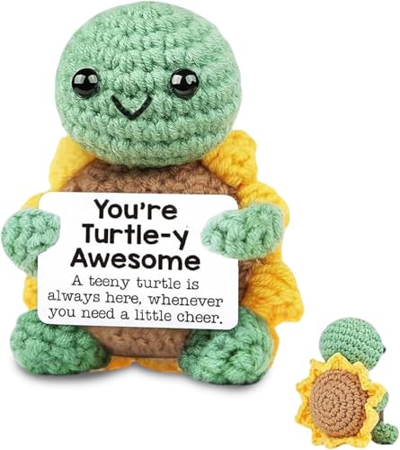 JACKANNA ﻿﻿﻿Schildkröte Kuscheltier,Pocket Hug Positive Schildkröte Glücksbringer Kinder Schlüsselanhänger Prüfung Gute Besserung Gehäkelte Kuscheltiere(1) von JACKANNA