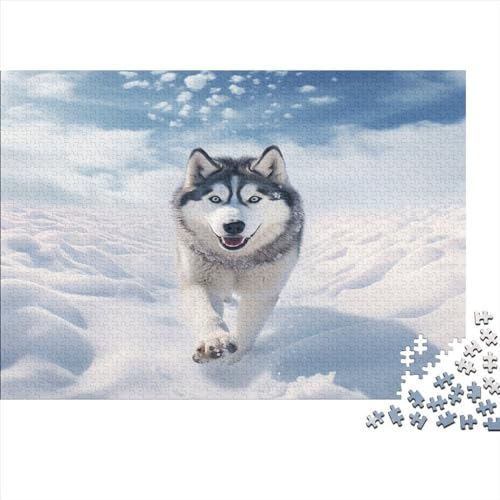 Snow Husky 1000 Teile Pet Dog Theme Erwachsene Puzzle Lernspiel Geburtstag Wohnkultur Family Challenging Games Stress Relief Toy 1000pcs (75x50cm) von JALYKA