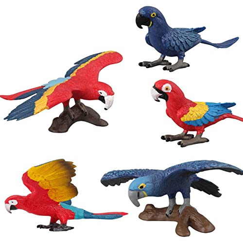 JAWSEU 5pcs Vogelfigur Realistische Vögel Figuren Spielfigur, Miniatur Vögel Tierfigur Realistische Kunststoff Vogel Spielzeug Set, Lernen Pädagogisches Spielzeug, Geschenk für Kinder Kleinkinder von JAWSEU