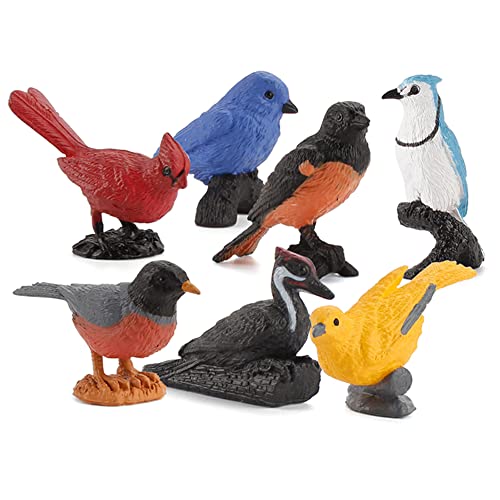 JAWSEU 7pcs Vogelfigur Realistische Vögel Figuren Spielfigur, Miniatur Vögel Tierfigur Realistische Kunststoff Vogel Spielzeug Set, Lernen Pädagogisches Spielzeug, Geschenk für Kinder Kleinkinder von JAWSEU