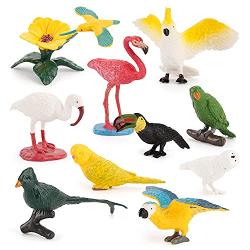 JAWSEU 9pcs Vogelfigur Realistische Vögel Figuren Spielfigur, Miniatur Vögel Tierfigur Realistische Kunststoff Vogel Spielzeug Set, Lernen Pädagogisches Spielzeug, Geschenk für Kinder Kleinkinder von JAWSEU
