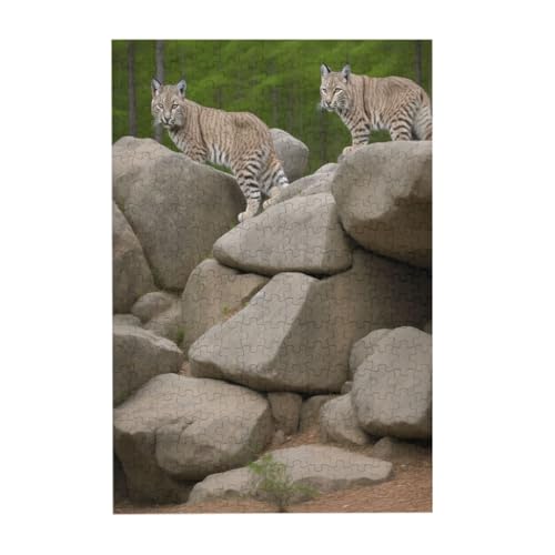 Berg-Leopardenkatzen-Druck, 300-teiliges Bilderpuzzle – Holz für Erwachsene, Familienspaß und Entspannungsgeschenk Berg-Leopardenkatzen-Druck, 300-teiliges Bilderpuzzle – Holz für Erwachsene, Familienspaß und Entspannungsgeschenk von JAYWIS