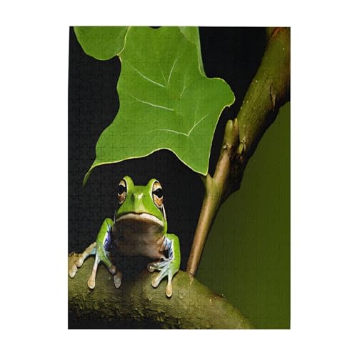 Frosch und Regen – Druck 500 Teile Bilderpuzzles für Erwachsene, umweltfreundliches Holzpuzzle mit Bildern, Geschenk für Familienspaß und Entspannung von JAYWIS